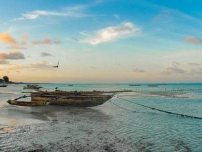 6-day Tsavo & Diani beach and bush, Tsavo East · Tsavo West · Diani Beach