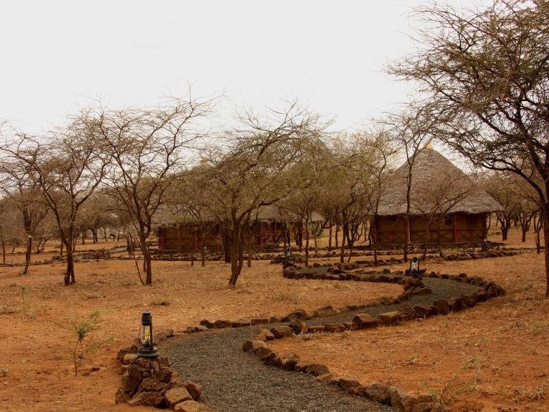 4-day Serengeti & Ngorongoro group safari — photo 4