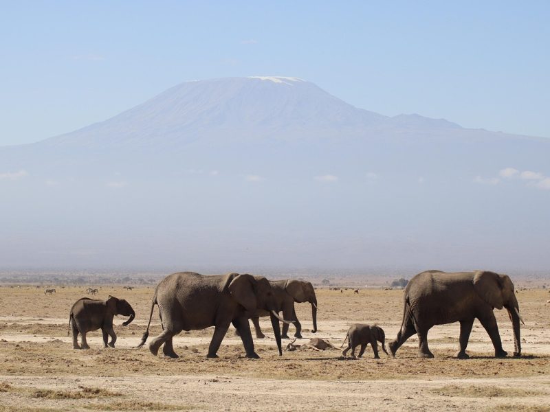 3-day Samburu safari — photo 2