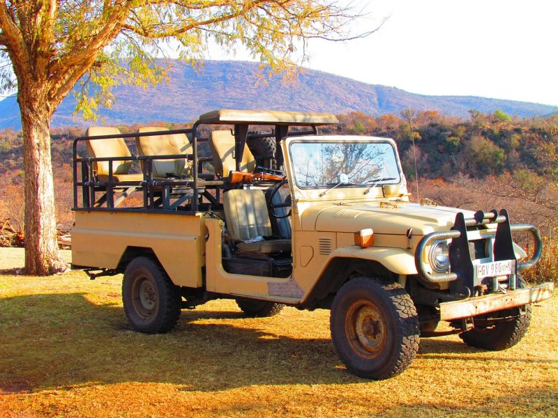3-day Maasai Mara group safari — photo 4