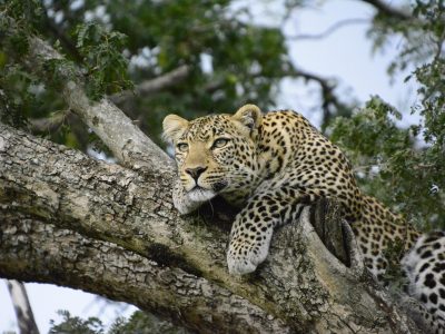4-day Maasai Mara & Lake Nakuru safari, Maasai Mara · Lake Nakuru