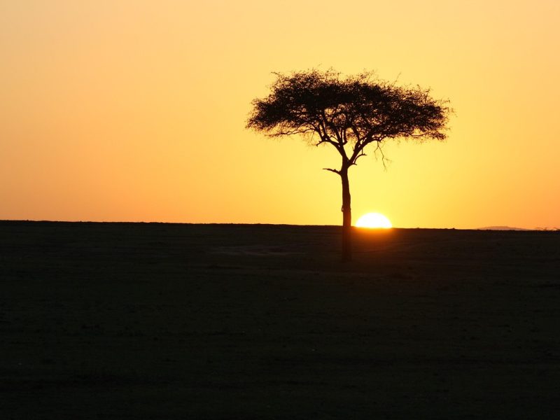 Hot-air balloon safari over the Maasai Mara — photo 2