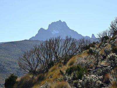 5-day Mount Kenya trek to Point Lenana, Mount Kenya, Kenya